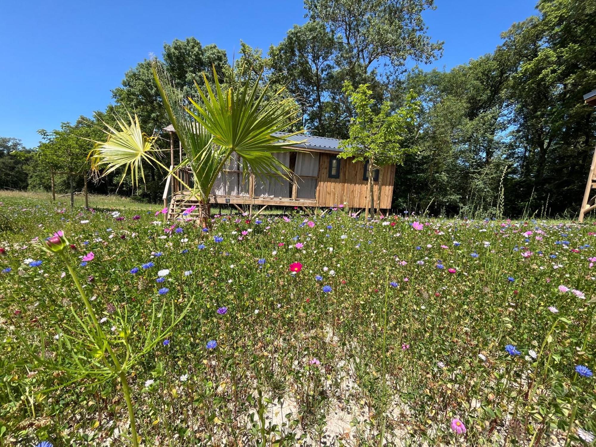 La Buissonniere Lodges Chisseaux Buitenkant foto