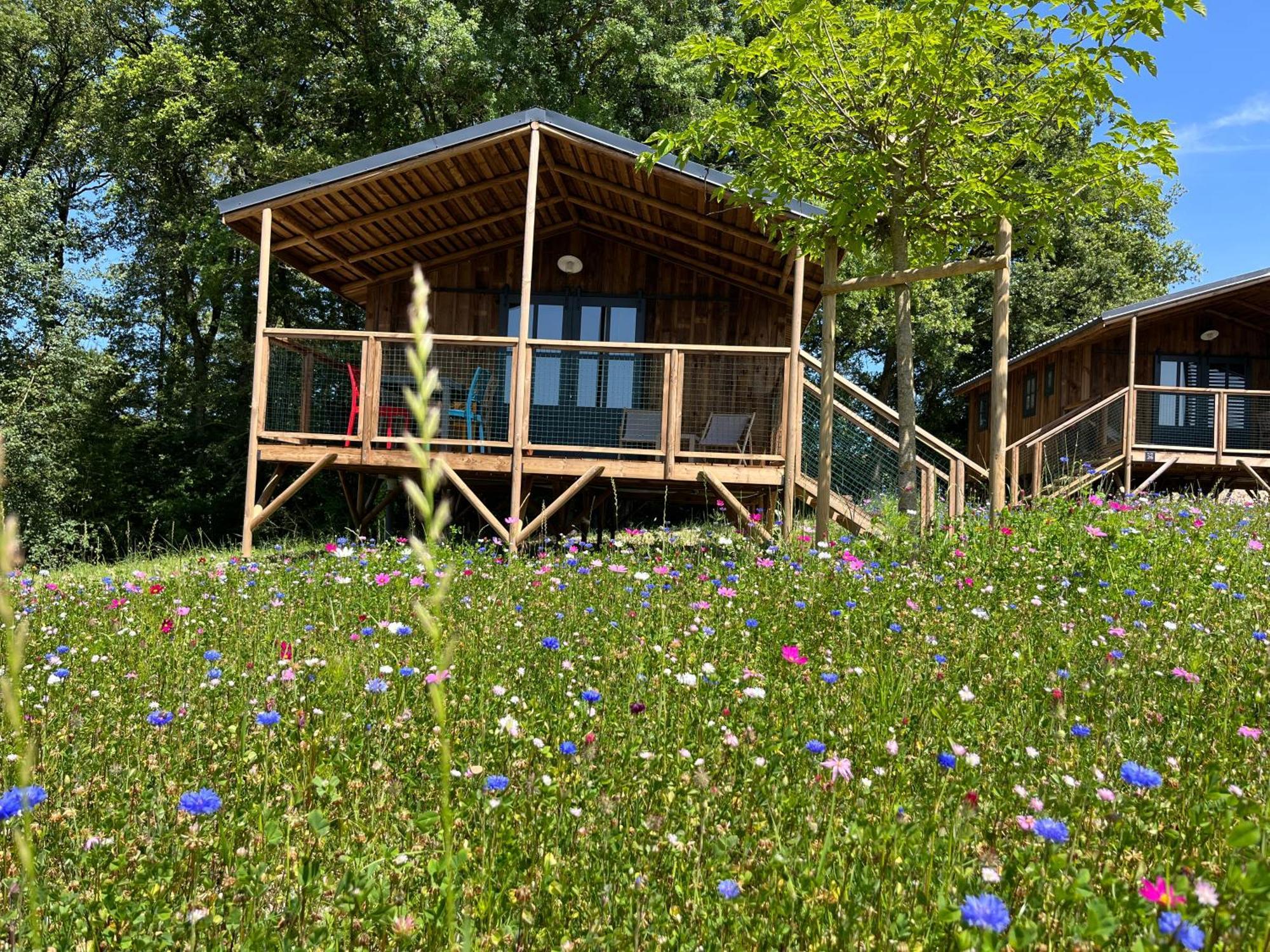 La Buissonniere Lodges Chisseaux Buitenkant foto